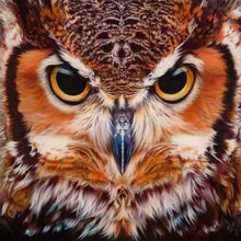 Afbeelding in Gallery-weergave laden, Diamond Painting - Portret van uilen dieren, Diamond Painting Dieren, uilen