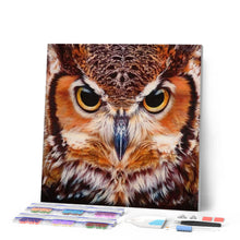 Afbeelding in Gallery-weergave laden, Diamond Painting - Portret van uilen dieren, Diamond Painting Dieren, uilen