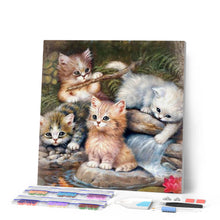 Afbeelding in Gallery-weergave laden, Diamond Painting - Spelende kittens dieren, katten, Diamond Painting Dieren
