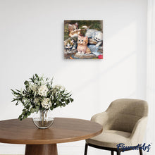 Afbeelding in Gallery-weergave laden, Diamond Painting - Spelende kittens dieren, katten, Diamond Painting Dieren