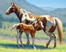 Afbeelding in Gallery-weergave laden, Diamond Painting - Paard en veulen dieren, Diamond Painting Dieren, paarden