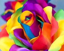 Afbeelding in Gallery-weergave laden, Diamond Painting - Tulp Kleurrijk Diamond Painting Bloemen, bloemen