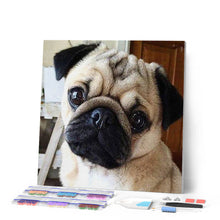 Afbeelding in Gallery-weergave laden, Diamond Painting - Schattige mopshond dieren, Diamond Painting Dieren