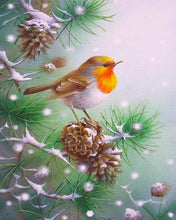 Afbeelding in Gallery-weergave laden, Diamond Painting - Vogeltje en dennenappels