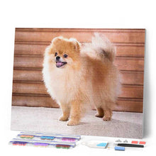 Afbeelding in Gallery-weergave laden, Diamond Painting - Kleine hond dieren, Diamond Painting Dieren, honden