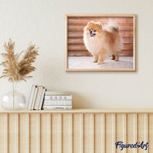 Afbeelding in Gallery-weergave laden, Diamond Painting - Kleine hond dieren, Diamond Painting Dieren, honden