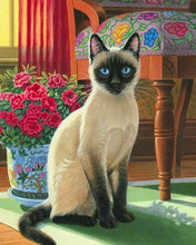 Afbeelding in Gallery-weergave laden, Diamond Painting - Kat met Blauwe Oogjes