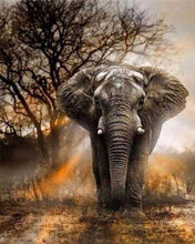 Afbeelding in Gallery-weergave laden, Diamond Painting - Olifant in de savanne 40x50cm reeds ingelijst
