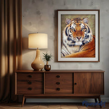 Afbeelding in Gallery-weergave laden, Diamond Painting - Oog tijger dieren, Diamond Painting Dieren, tijgers
