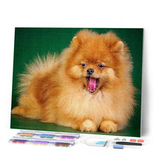 Afbeelding in Gallery-weergave laden, Diamond Painting - Schattige hond dieren, Diamond Painting Dieren, honden
