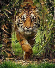 Afbeelding in Gallery-weergave laden, Diamond Painting - Leeuwenjacht dieren, Diamond Painting Dieren, leeuwen