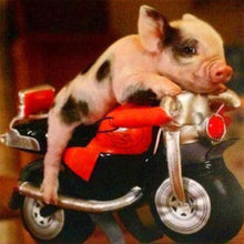 Afbeelding in Gallery-weergave laden, Diamond Painting - Varken en motor dieren, auto's en motorfietsen, Diamond Painting Dieren