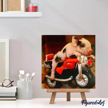 Afbeelding in Gallery-weergave laden, Diamond Painting - Varken en motor dieren, auto's en motorfietsen, Diamond Painting Dieren