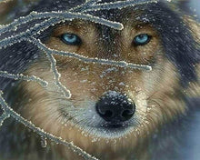Afbeelding in Gallery-weergave laden, Diamond Painting - Gezicht van Wolf dieren, Diamond Painting Dieren, konijnen, wolven