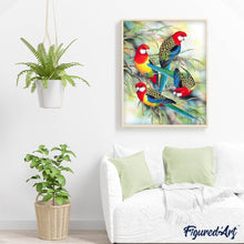 Afbeelding in Gallery-weergave laden, Diamond Painting - Papegaaien op Tak dieren, vogels, Diamond Painting Dieren, papegaaien