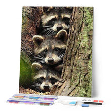 Afbeelding in Gallery-weergave laden, Diamond Painting - Wasberen dieren, Diamond Painting Dieren, wasberen