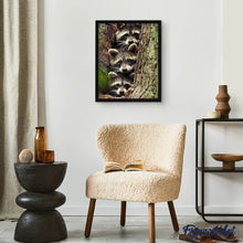 Afbeelding in Gallery-weergave laden, Diamond Painting - Wasberen dieren, Diamond Painting Dieren, wasberen