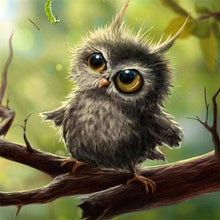 Afbeelding in Gallery-weergave laden, Diamond Painting - Kleine Uil dieren, Diamond Painting Dieren, uilen