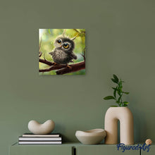 Afbeelding in Gallery-weergave laden, Diamond Painting - Kleine Uil dieren, Diamond Painting Dieren, uilen