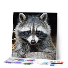 Afbeelding in Gallery-weergave laden, Diamond Painting - Mooie wasbeer dieren, Diamond Painting Dieren, wasberen