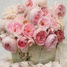 Afbeelding in Gallery-weergave laden, Diamond Painting - Leven in roze Diamond Painting Bloemen, bloemen