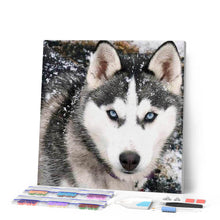 Afbeelding in Gallery-weergave laden, Diamond Painting - Wolf gezicht dieren, Diamond Painting Dieren, konijnen, wolven