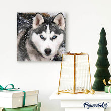 Afbeelding in Gallery-weergave laden, Diamond Painting - Wolf gezicht dieren, Diamond Painting Dieren, konijnen, wolven