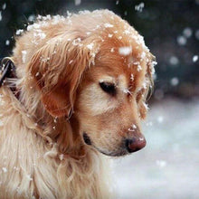 Afbeelding in Gallery-weergave laden, Diamond Painting - Hond in de sneeuw dieren, Diamond Painting Dieren, honden, winter