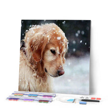 Afbeelding in Gallery-weergave laden, Diamond Painting - Hond in de sneeuw dieren, Diamond Painting Dieren, honden, winter