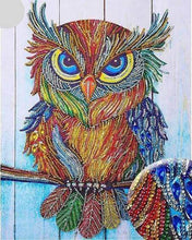 Afbeelding in Gallery-weergave laden, Diamond Painting - Uil en strass steentjes dieren, Diamond Painting Dieren, uilen