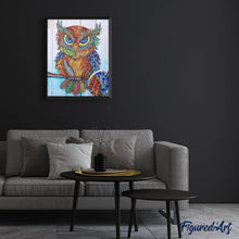 Afbeelding in Gallery-weergave laden, Diamond Painting - Uil en strass steentjes dieren, Diamond Painting Dieren, uilen