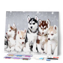 Afbeelding in Gallery-weergave laden, Diamond Painting - Kleine wolven dieren, Diamond Painting Dieren, konijnen, wolven