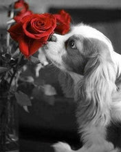 Afbeelding in Gallery-weergave laden, Diamond Painting - Hond en Roos dieren, Diamond Painting Dieren, Diamond Painting Bloemen, honden, bloemen