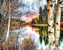 Afbeelding in Gallery-weergave laden, Diamond Painting - Berkenbomen en meer Diamond Painting Landschappen, landschappen