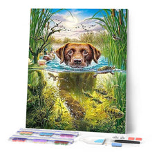 Afbeelding in Gallery-weergave laden, Diamond Painting - Hond in de stroom dieren, Diamond Painting Dieren, honden
