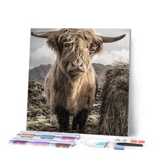 Afbeelding in Gallery-weergave laden, Diamond Painting - Yak dieren, bizons en yaks, Diamond Painting Dieren