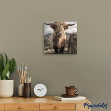 Afbeelding in Gallery-weergave laden, Diamond Painting - Yak dieren, bizons en yaks, Diamond Painting Dieren
