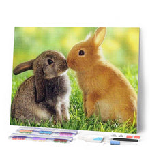Afbeelding in Gallery-weergave laden, Diamond Painting - Konijnen Koppel dieren, Diamond Painting Dieren, konijnen