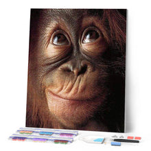 Afbeelding in Gallery-weergave laden, Diamond Painting - Klein aapje dieren, Diamond Painting Dieren, apen