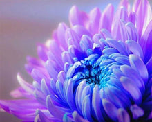 Afbeelding in Gallery-weergave laden, Diamond Painting - Bloem Bloesem Diamond Painting Bloemen, bloemen