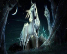 Afbeelding in Gallery-weergave laden, Diamond Painting - Eenhoorn in het donker dieren, Diamond Painting Dieren, eenhoorns