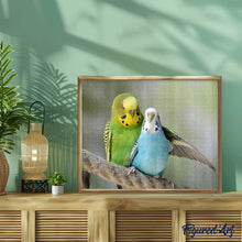 Afbeelding in Gallery-weergave laden, Diamond Painting - Parkieten dieren, Diamond Painting Dieren