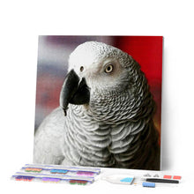 Afbeelding in Gallery-weergave laden, Diamond Painting - Witte vogel dieren, vogels, Diamond Painting Dieren