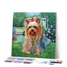 Afbeelding in Gallery-weergave laden, Diamond Painting - Bichon Maltees hond dieren, Diamond Painting Dieren, honden