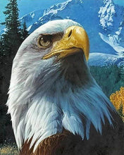 Afbeelding in Gallery-weergave laden, Diamond Painting - Adelaar en berg dieren, Diamond Painting Dieren, adelaars, bergen