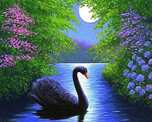 Afbeelding in Gallery-weergave laden, Diamond Painting - Zwaan dieren, vogels, Diamond Painting Dieren, zwanen