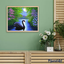 Afbeelding in Gallery-weergave laden, Diamond Painting - Zwaan dieren, vogels, Diamond Painting Dieren, zwanen