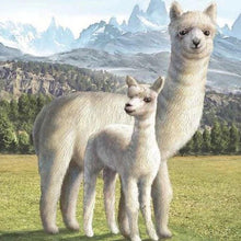 Afbeelding in Gallery-weergave laden, Diamond Painting - Lama dieren, Diamond Painting Dieren