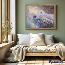 Afbeelding in Gallery-weergave laden, Diamond Painting - Glanzende Vogels dieren, vogels, Diamond Painting Dieren