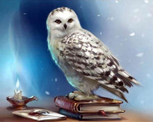 Afbeelding in Gallery-weergave laden, Diamond Painting - Uil en boek dieren, Diamond Painting Dieren, uilen